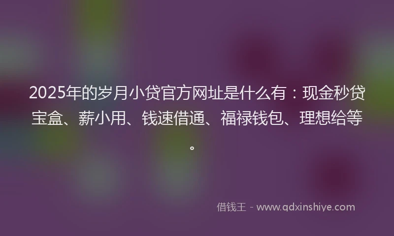 2025年的岁月小贷官方网址是什么有:现金秒贷宝盒、薪小用、钱速借通、福禄钱包、理想给等。
