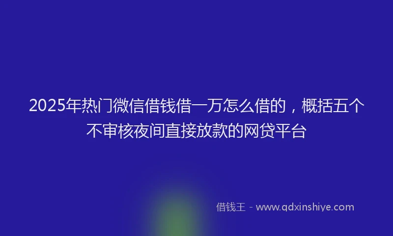 2025年热门微信借钱借一万怎么借的，概括五个不审核夜间直接放款的网贷平台