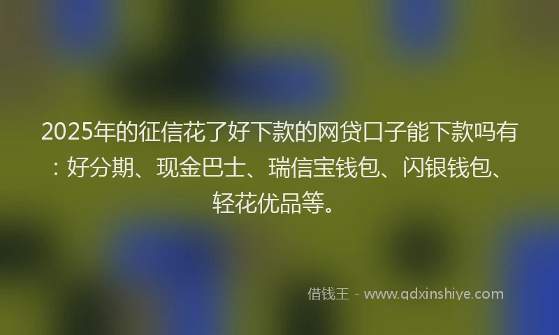 2025年的征信花了好下款的网贷口子能下款吗有：好分期、现金巴士、瑞信宝钱包、闪银钱包、轻花优品等。