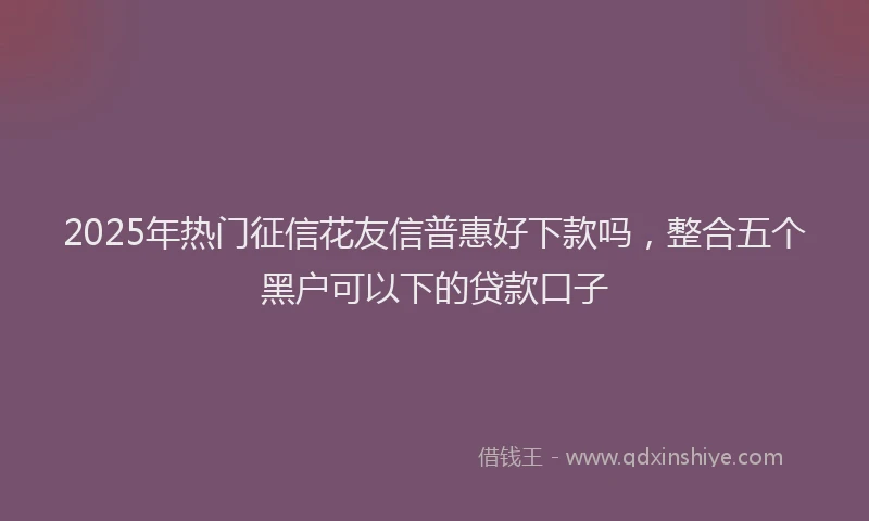 2025年热门征信花友信普惠好下款吗，整合五个黑户可以下的贷款口子
