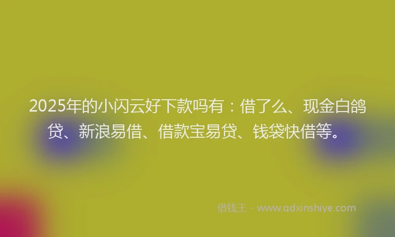 2025年的小闪云好下款吗有：借了么、现金白鸽贷、新浪易借、借款宝易贷、钱袋快借等。