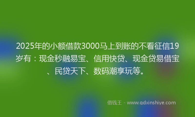 2025年的小额借款3000马上到账的不看征信19岁有：现金秒融易宝、信用快贷、现金贷易借宝、民贷天下、数码潮享玩等。