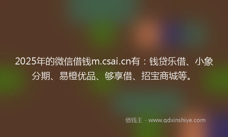 2025年的微信借钱m.csai.cn有：钱贷乐借、小象分期、易橙优品、够享借、招宝商城等。