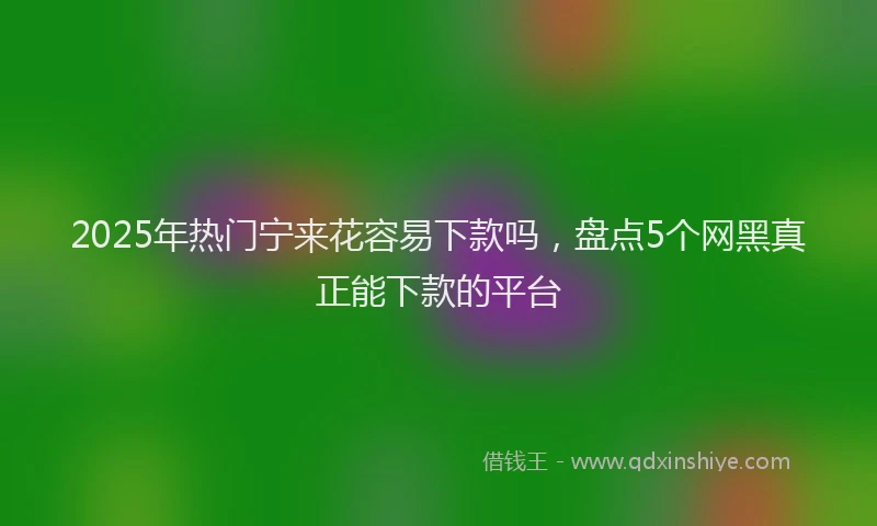 2025年热门宁来花容易下款吗，盘点5个网黑真正能下款的平台