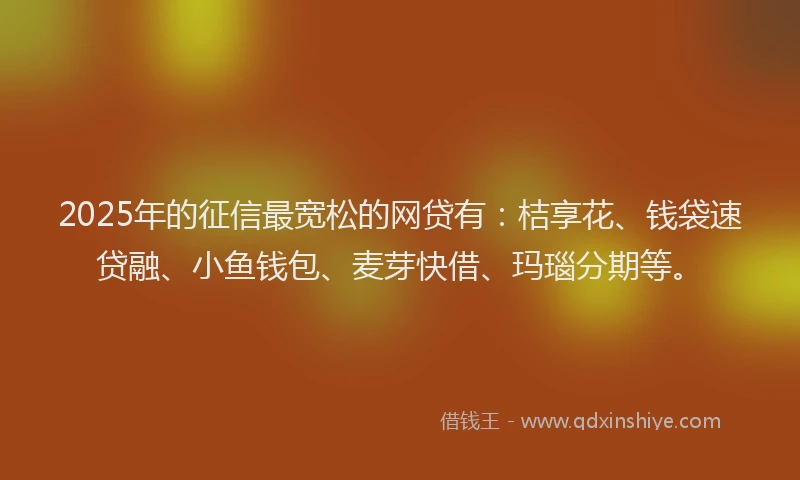2025年的征信最宽松的网贷有：桔享花、钱袋速贷融、小鱼钱包、麦芽快借、玛瑙分期等。