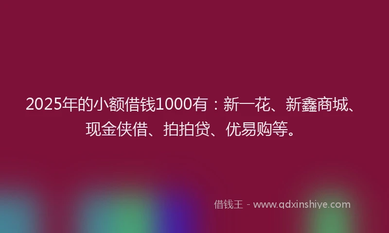 2025年的小额借钱1000有：新一花、新鑫商城、现金侠借、拍拍贷、优易购等。