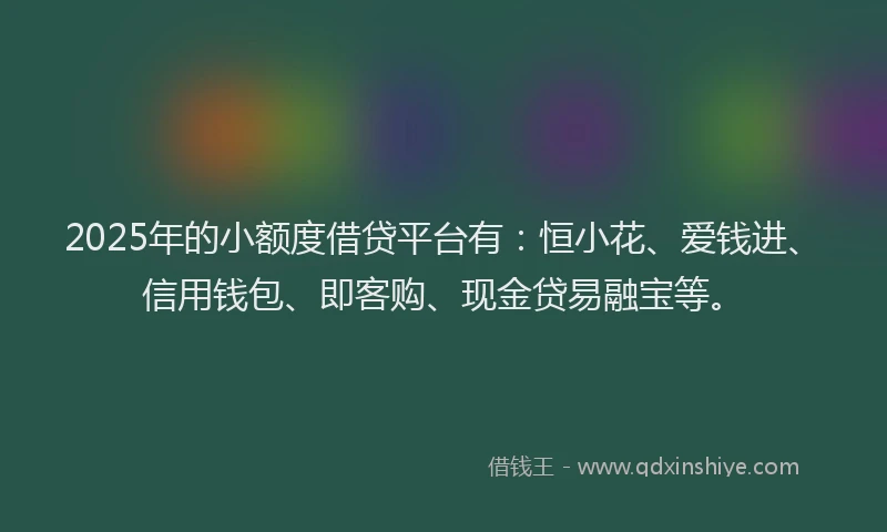2025年的小额度借贷平台有：恒小花、爱钱进、信用钱包、即客购、现金贷易融宝等。