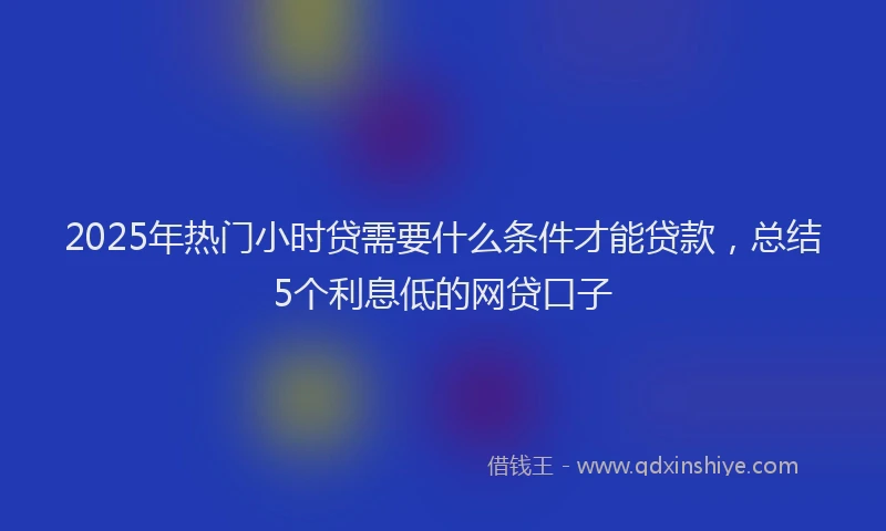 2025年热门小时贷需要什么条件才能贷款，总结5个利息低的网贷口子