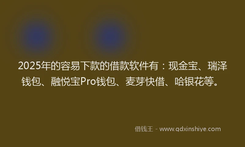 2025年的容易下款的借款软件有：现金宝、瑞泽钱包、融悦宝Pro钱包、麦芽快借、哈银花等。