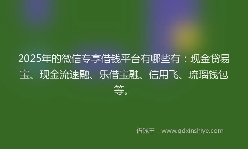 2025年的微信专享借钱平台有哪些有：现金贷易宝、现金流速融、乐借宝融、信用飞、琉璃钱包等。