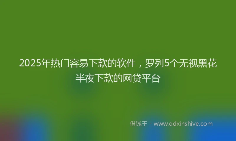 2025年热门容易下款的软件，罗列5个无视黑花半夜下款的网贷平台