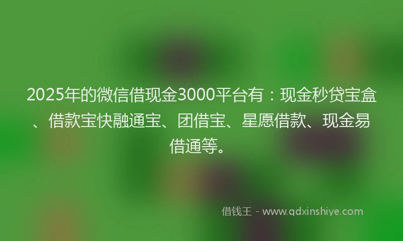 2025年的微信借现金3000平台有：现金秒贷宝盒、借款宝快融通宝、团借宝、星愿借款、现金易借通等。