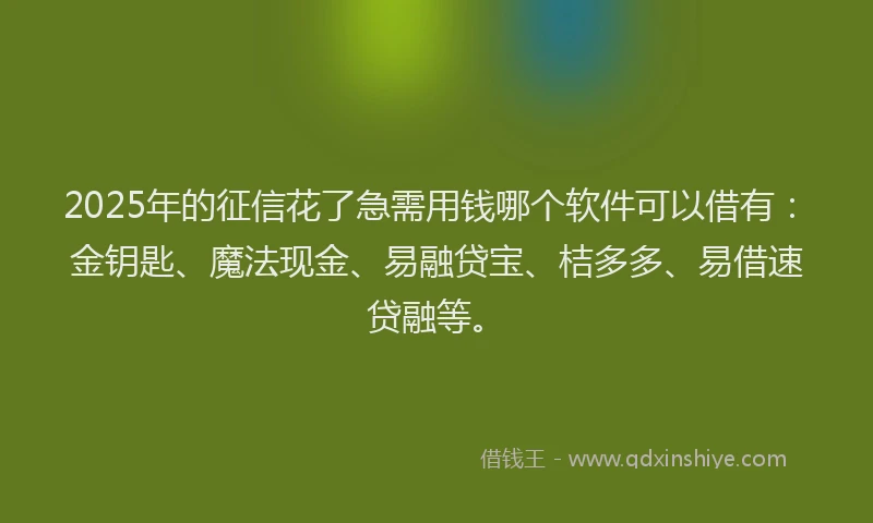 2025年的征信花了急需用钱哪个软件可以借有：金钥匙、魔法现金、易融贷宝、桔多多、易借速贷融等。