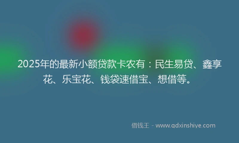 2025年的最新小额贷款卡农有：民生易贷、鑫享花、乐宝花、钱袋速借宝、想借等。