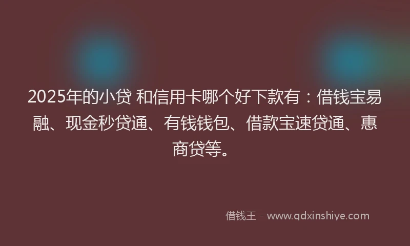 2025年的小贷 和信用卡哪个好下款有：借钱宝易融、现金秒贷通、有钱钱包、借款宝速贷通、惠商贷等。
