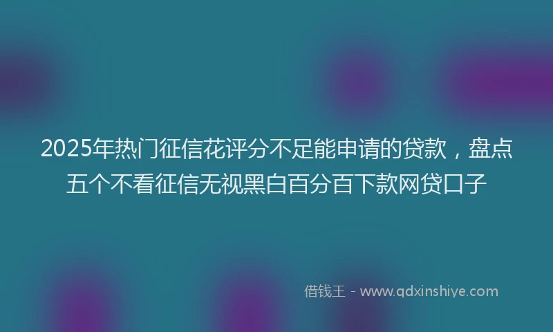 2025年热门征信花评分不足能申请的贷款，盘点五个不看征信无视黑白百分百下款网贷口子