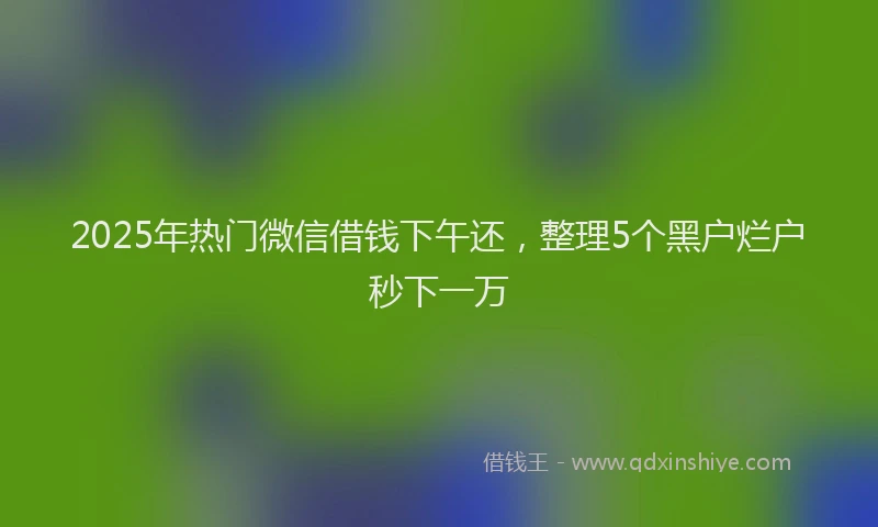2025年热门微信借钱下午还，整理5个黑户烂户秒下一万