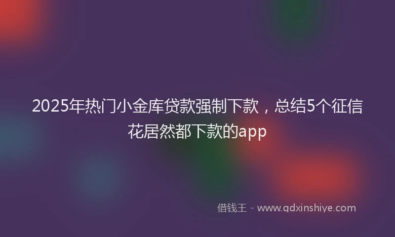 2025年热门小金库贷款强制下款，总结5个征信花居然都下款的app