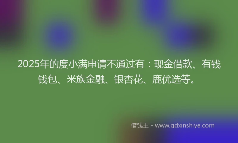 2025年的度小满申请不通过有：现金借款、有钱钱包、米族金融、银杏花、鹿优选等。