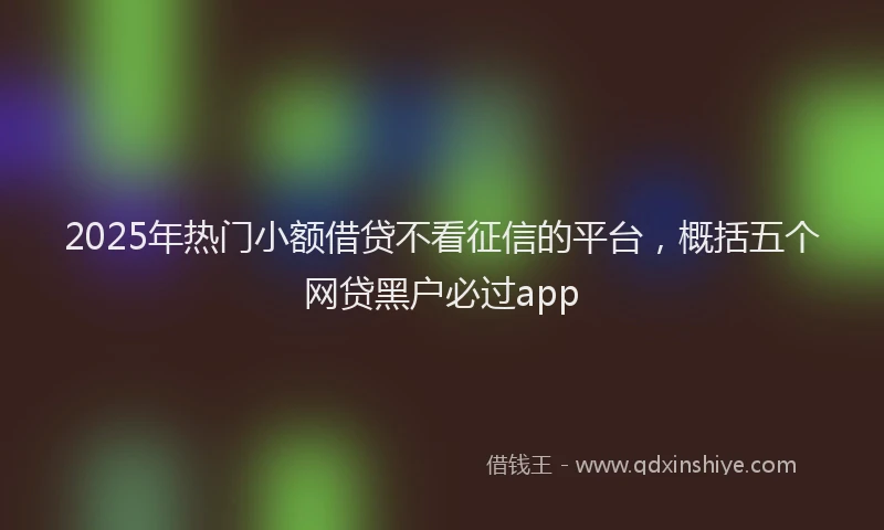 2025年热门小额借贷不看征信的平台，概括五个网贷黑户必过app