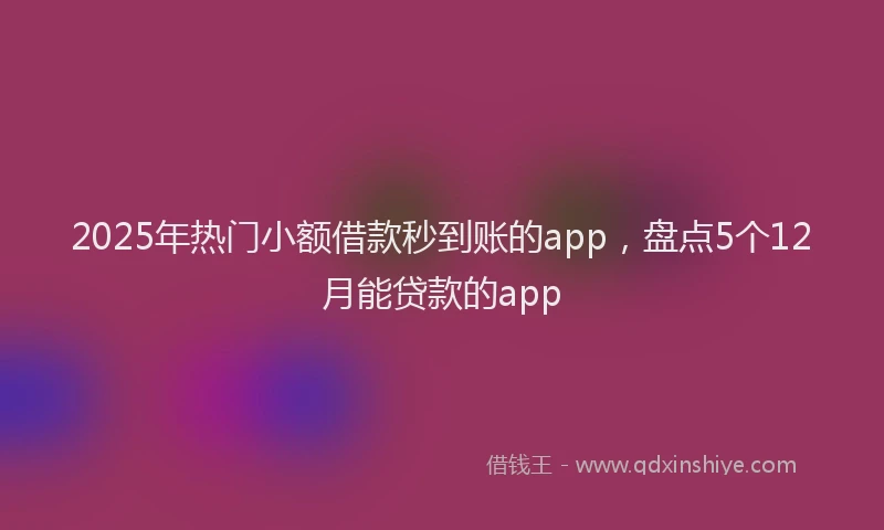 2025年热门小额借款秒到账的app，盘点5个12月能贷款的app