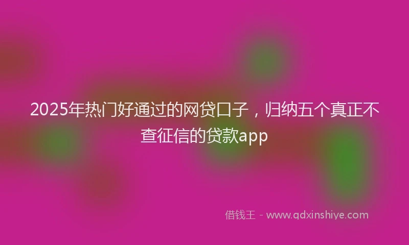 2025年热门好通过的网贷口子，归纳五个真正不查征信的贷款app