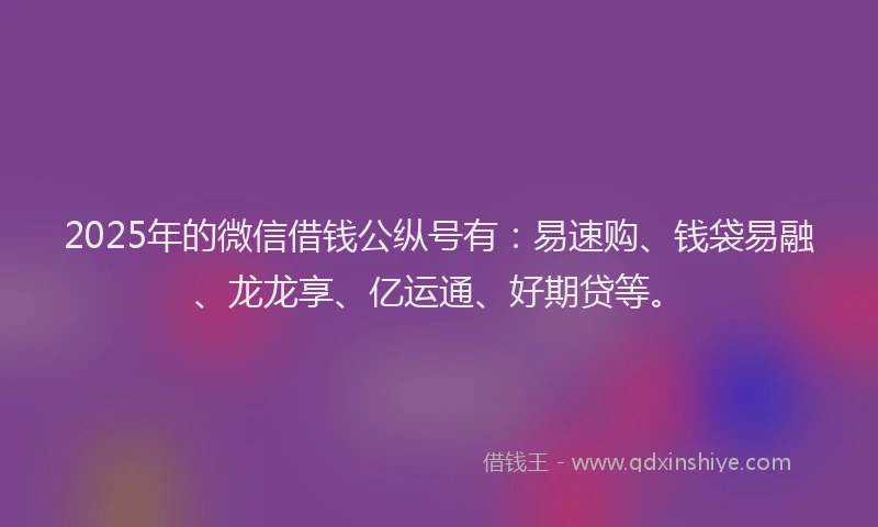 2025年的微信借钱公纵号有：易速购、钱袋易融、龙龙享、亿运通、好期贷等。