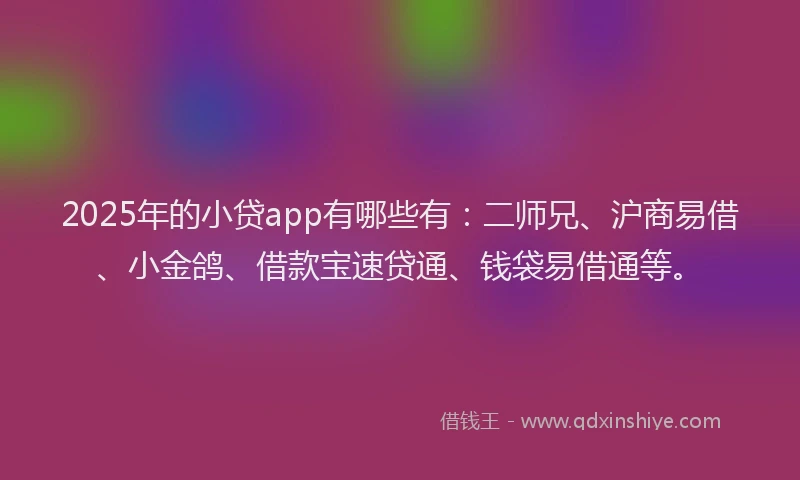 2025年的小贷app有哪些有：二师兄、沪商易借、小金鸽、借款宝速贷通、钱袋易借通等。