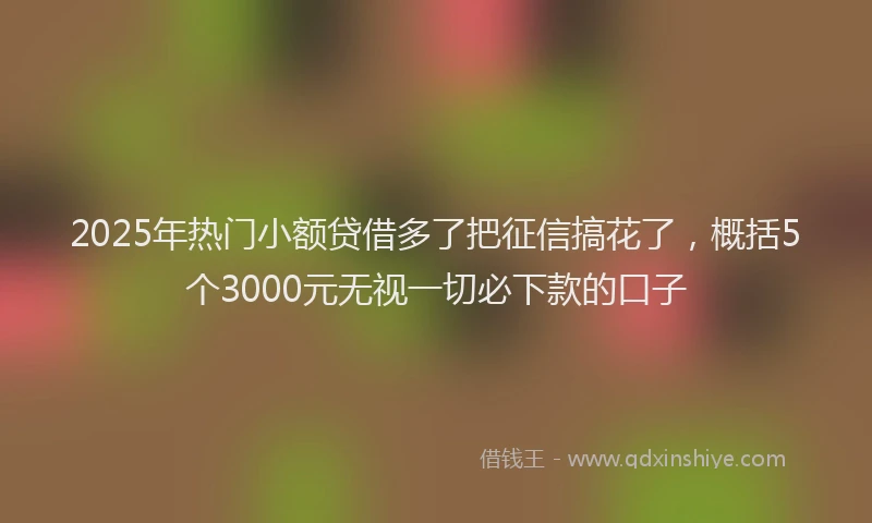 2025年热门小额贷借多了把征信搞花了，概括5个3000元无视一切必下款的口子