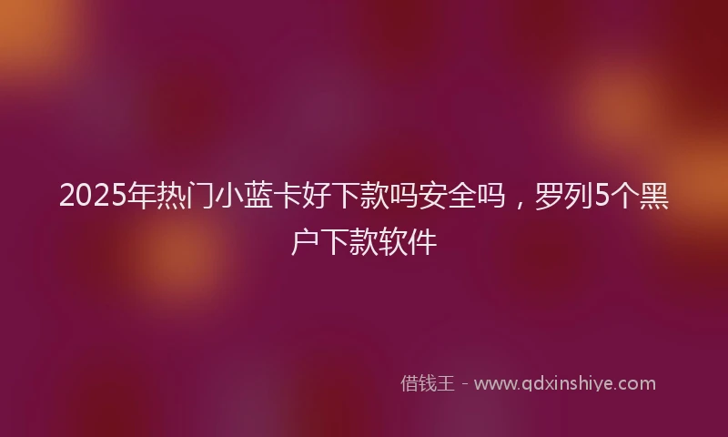 2025年热门小蓝卡好下款吗安全吗，罗列5个黑户下款软件