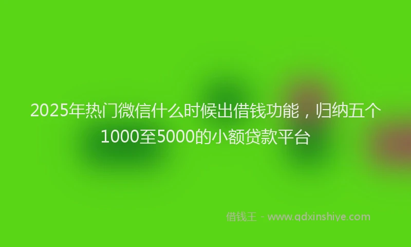 2025年热门微信什么时候出借钱功能，归纳五个1000至5000的小额贷款平台