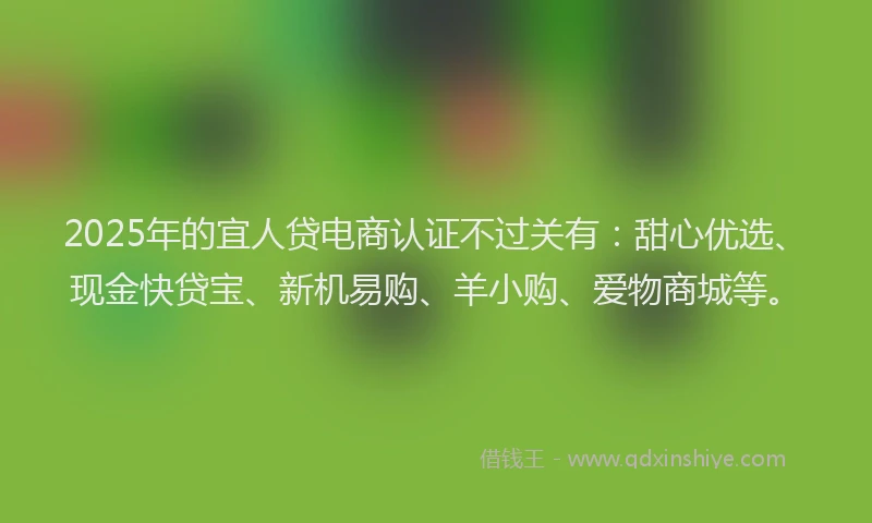 2025年的宜人贷电商认证不过关有：甜心优选、现金快贷宝、新机易购、羊小购、爱物商城等。