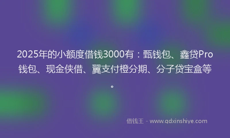 2025年的小额度借钱3000有：甄钱包、鑫贷Pro钱包、现金侠借、翼支付橙分期、分子贷宝盒等。