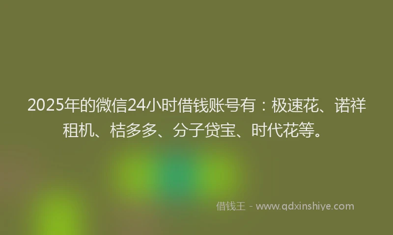 2025年的微信24小时借钱账号有：极速花、诺祥租机、桔多多、分子贷宝、时代花等。