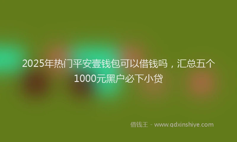 2025年热门平安壹钱包可以借钱吗，汇总五个1000元黑户必下小贷