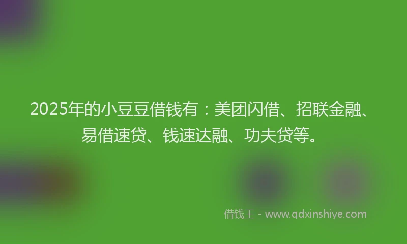 2025年的小豆豆借钱有：美团闪借、招联金融、易借速贷、钱速达融、功夫贷等。