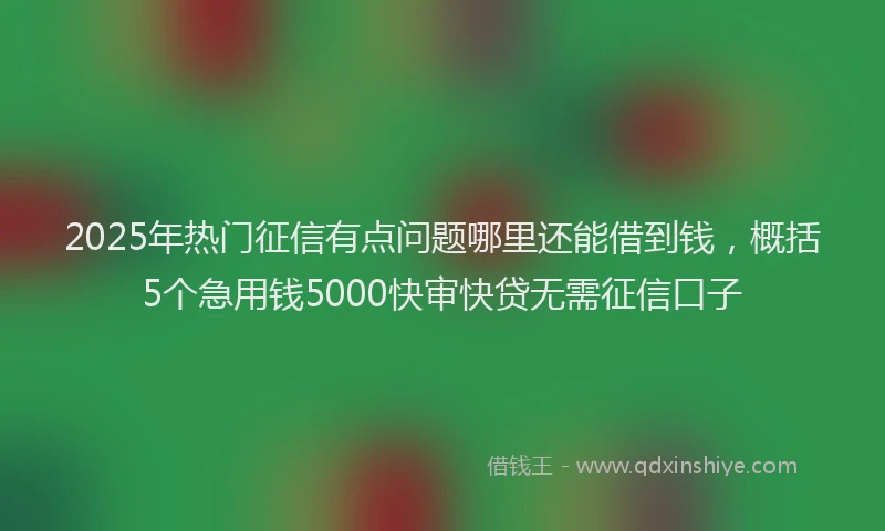 2025年热门征信有点问题哪里还能借到钱，概括5个急用钱5000快审快贷无需征信口子