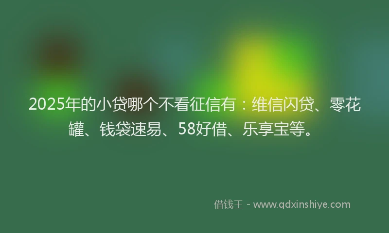 2025年的小贷哪个不看征信有：维信闪贷、零花罐、钱袋速易、58好借、乐享宝等。