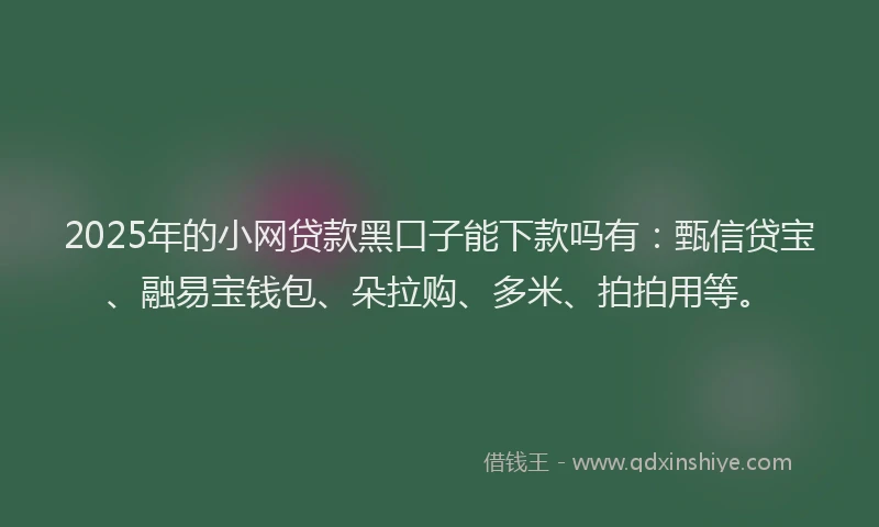 2025年的小网贷款黑口子能下款吗有：甄信贷宝、融易宝钱包、朵拉购、多米、拍拍用等。