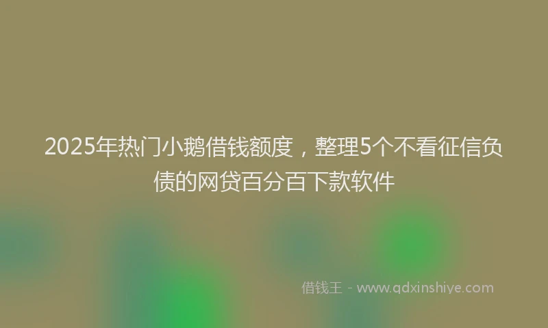2025年热门小鹅借钱额度，整理5个不看征信负债的网贷百分百下款软件