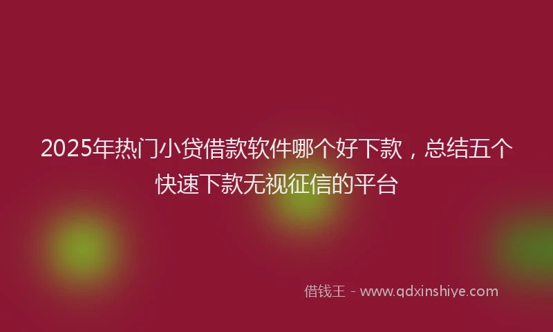 2025年热门小贷借款软件哪个好下款，总结五个快速下款无视征信的平台