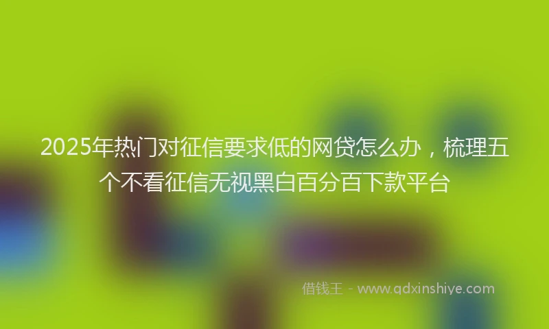 2025年热门对征信要求低的网贷怎么办，梳理五个不看征信无视黑白百分百下款平台
