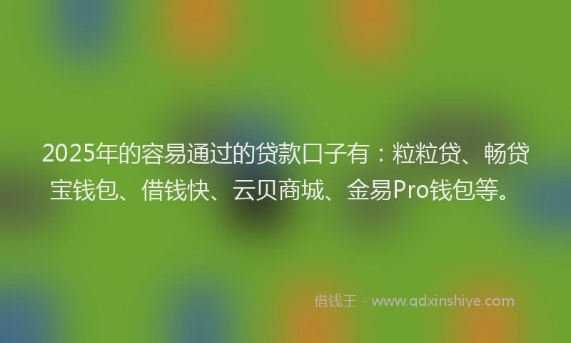 2025年的容易通过的贷款口子有：粒粒贷、畅贷宝钱包、借钱快、云贝商城、金易Pro钱包等。