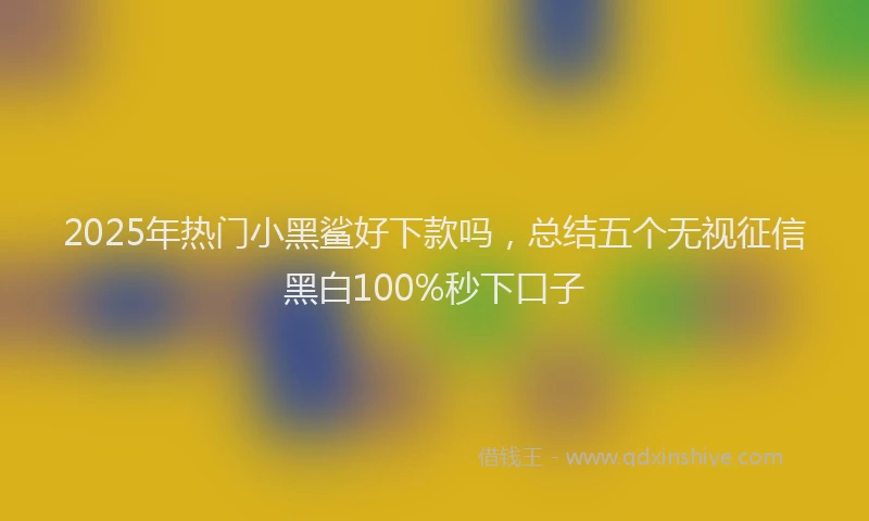 2025年热门小黑鲨好下款吗，总结五个无视征信黑白100%秒下口子