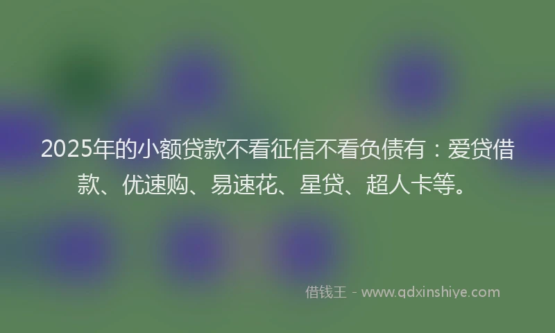 2025年的小额贷款不看征信不看负债有：爱贷借款、优速购、易速花、星贷、超人卡等。