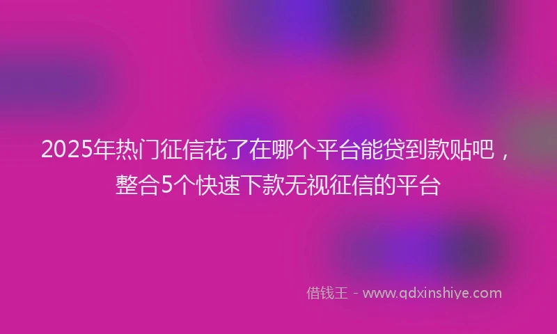 2025年热门征信花了在哪个平台能贷到款贴吧，整合5个快速下款无视征信的平台