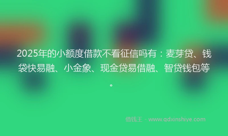 2025年的小额度借款不看征信吗有：麦芽贷、钱袋快易融、小金象、现金贷易借融、智贷钱包等。