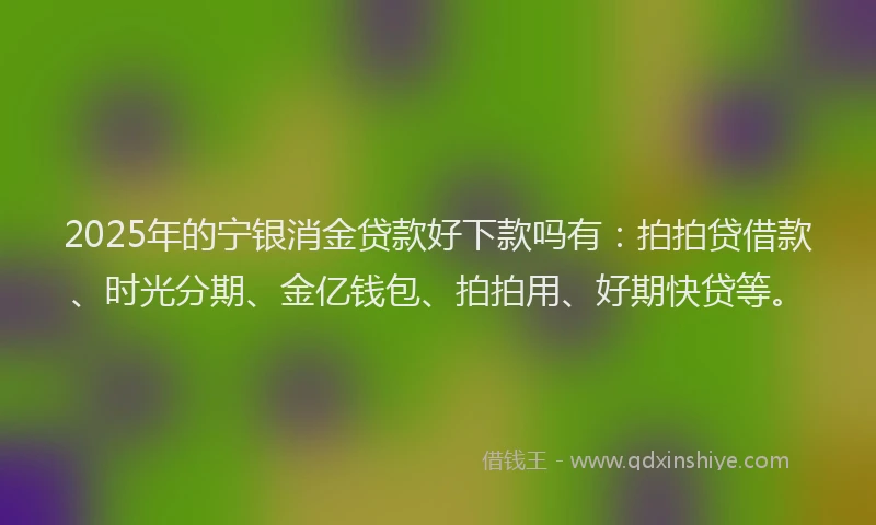 2025年的宁银消金贷款好下款吗有：拍拍贷借款、时光分期、金亿钱包、拍拍用、好期快贷等。