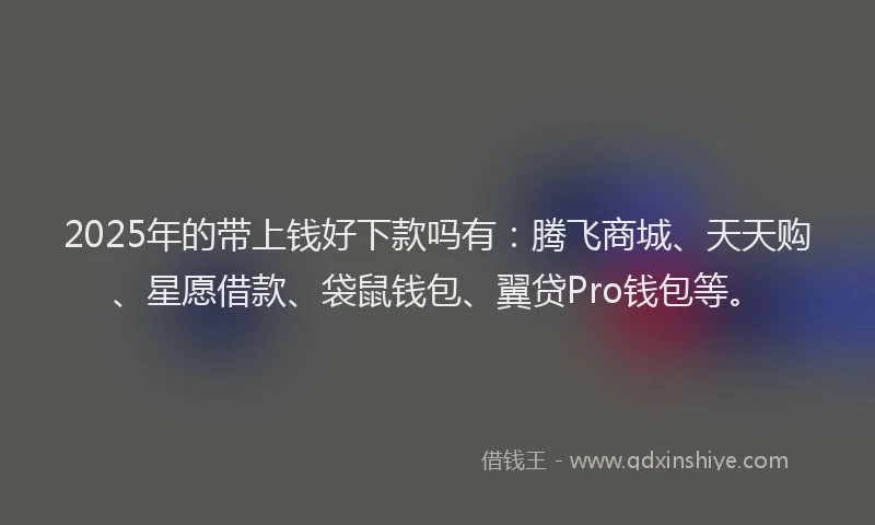 2025年的带上钱好下款吗有：腾飞商城、天天购、星愿借款、袋鼠钱包、翼贷Pro钱包等。