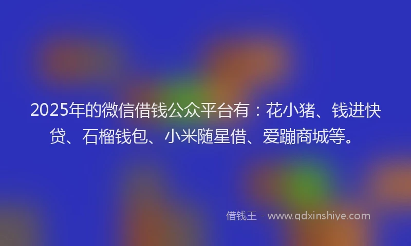 2025年的微信借钱公众平台有：花小猪、钱进快贷、石榴钱包、小米随星借、爱蹦商城等。